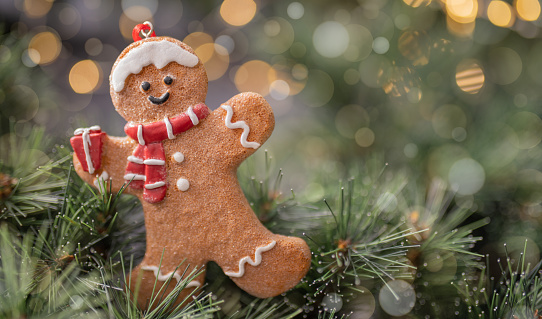 Gingerbread Cookie On A Fir Tree.